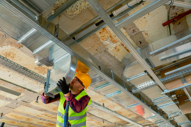 Best Local HVAC Companies  in Cole Camp, MO